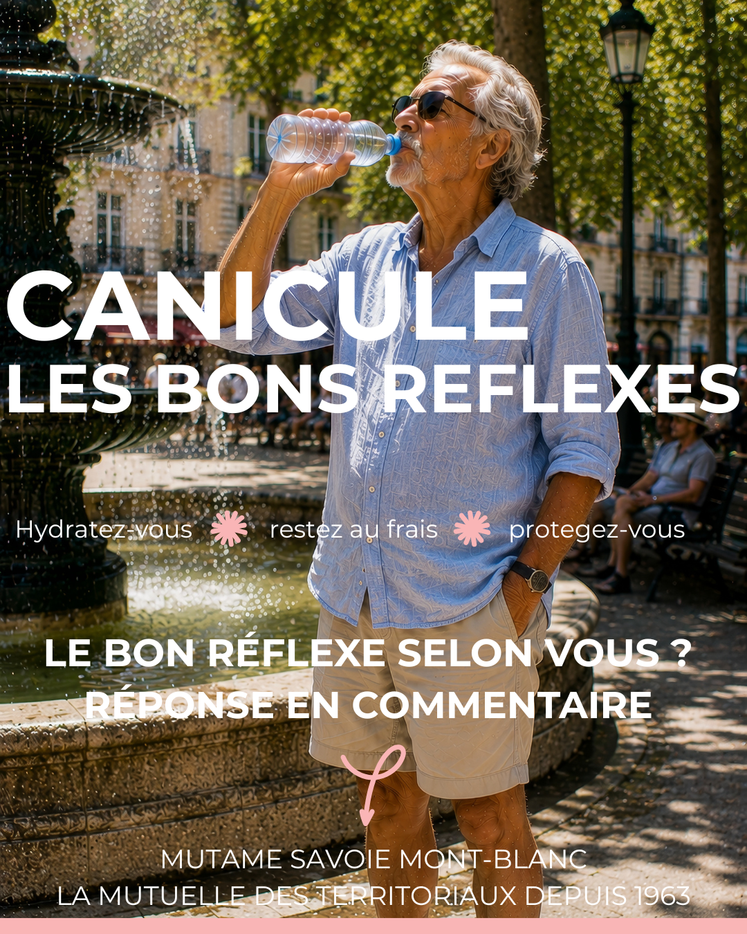 CANICULE LES BONS REFLEXES