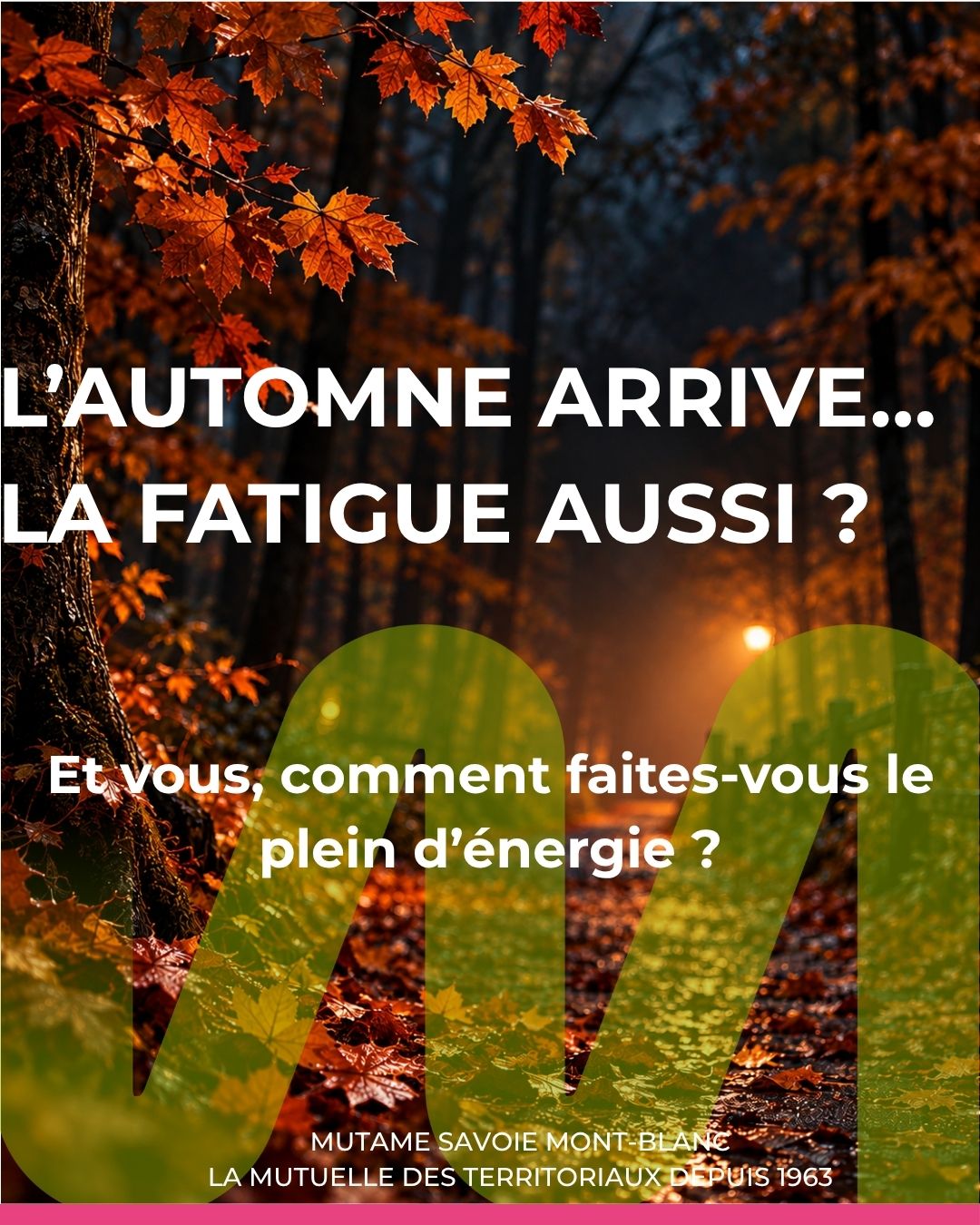 Deux personnes pratiquent la méditation en position du lotus, avec les mains posées sur les genoux et les doigts formant le geste du mudra. Aidants.